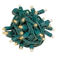 thumbnail image 1 of 34ft 100 LED Sun Warm White Christmas Lights Outdoor/Indoor, 4" Spacing, Green Wire String Lights for Festive Xmas Lighting, IP55, UL Listed, Dimmable, Connectable, 1 of 5