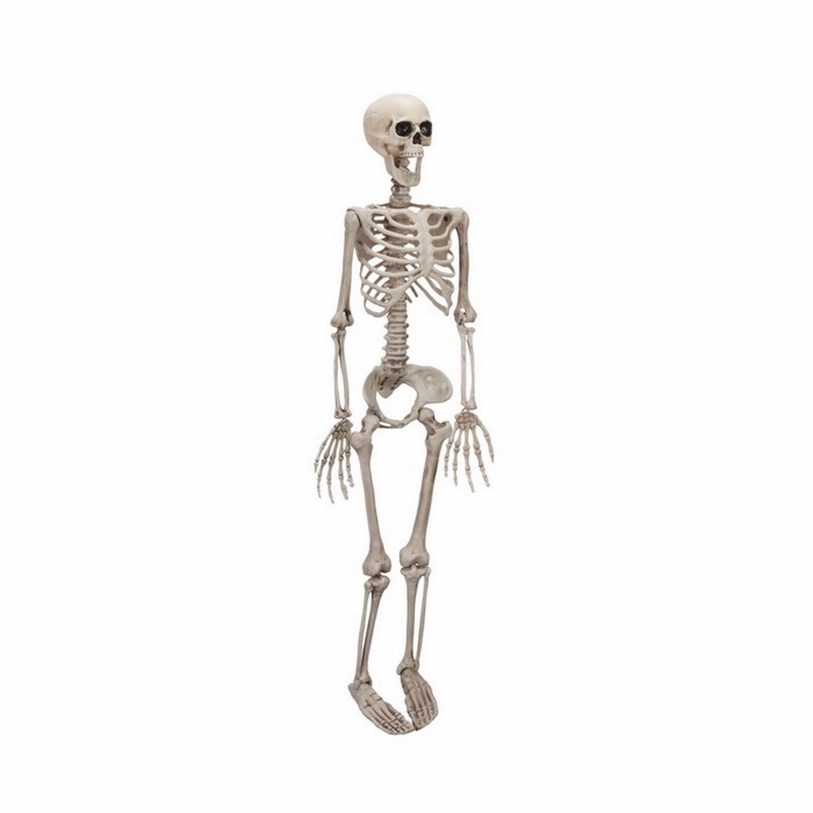 35.4 Inch Halloween Human Skeleton Full Body Halloween Skeleton Tricky
