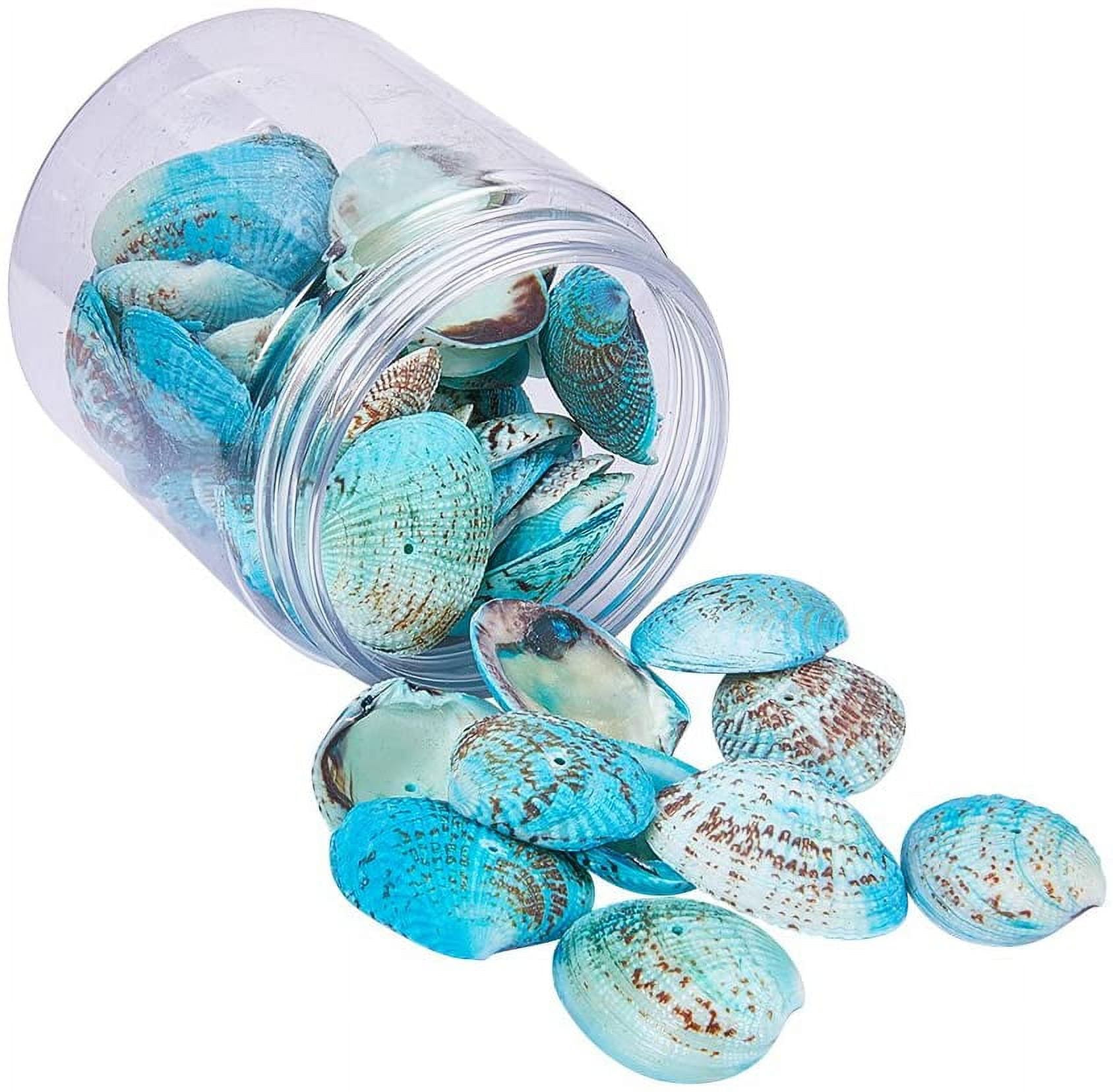  LUCKY BABY Sea Shells Mixed with Sea Glass 7 Ounces for Crafts,  Natural Scallop Seashells for Decorating, Seaglass Decor for Fish Tank Vase  Fillers Home Deco, Beach Themed Party Wedding 