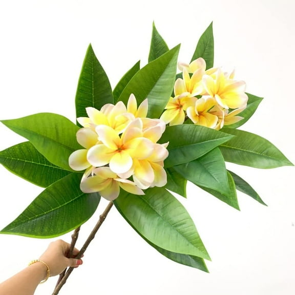 35.5 Inch Artificial Flowers Artificial Frangipani Flower Stems Lifelike Real Touch Artificial Plumeria Flowers for Home Party Wedding Bouquet Home Decoration (Yellow)