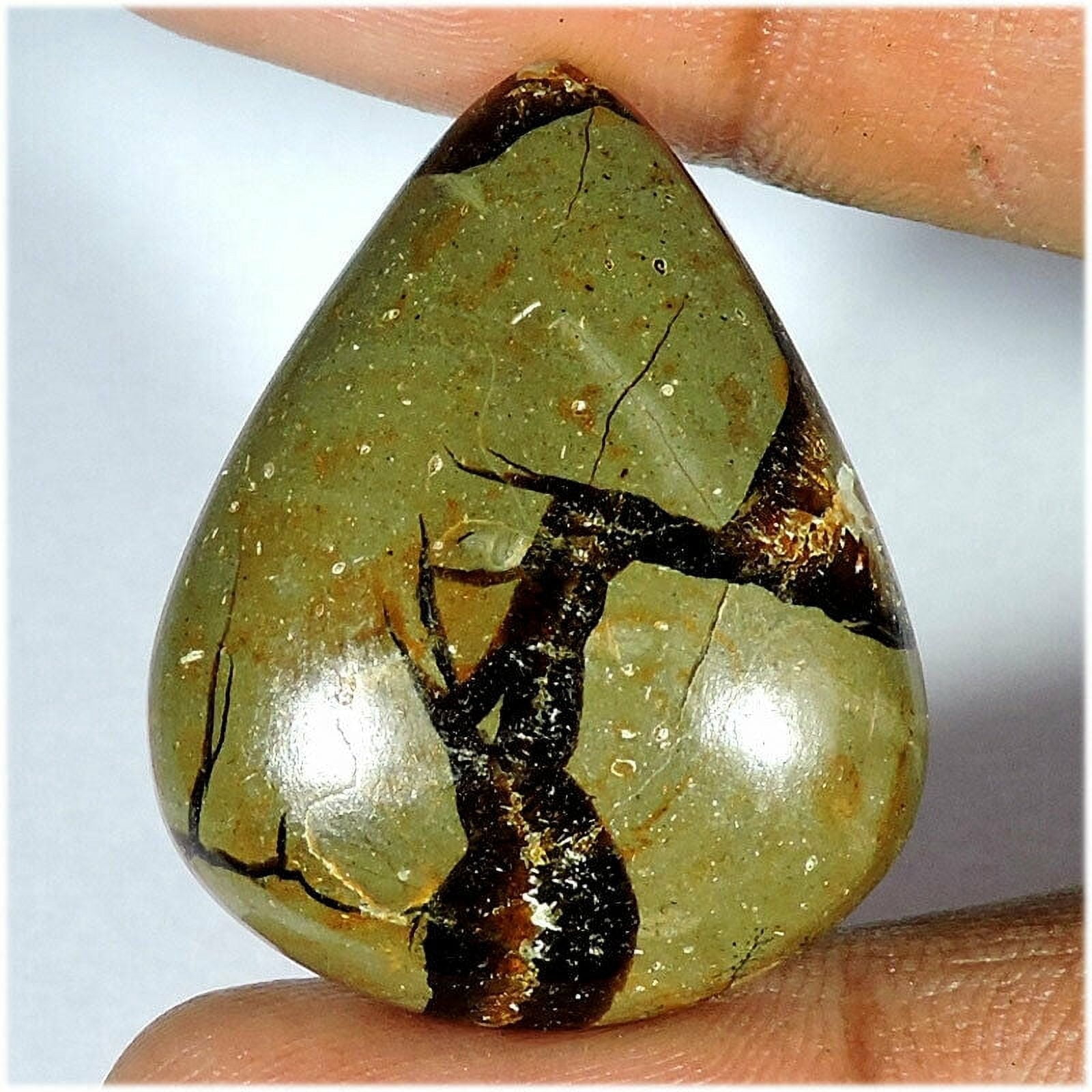 Rarest Shape 35.70Cts Rarest Natural Septarian Pear Shape Cabchon Loose Gemstone ...