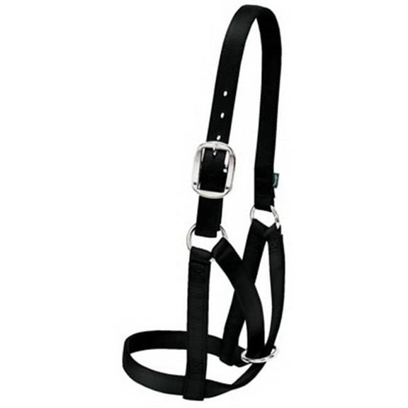 35-8003-BK 1 in. Cow Barn Halter - Small, Black
