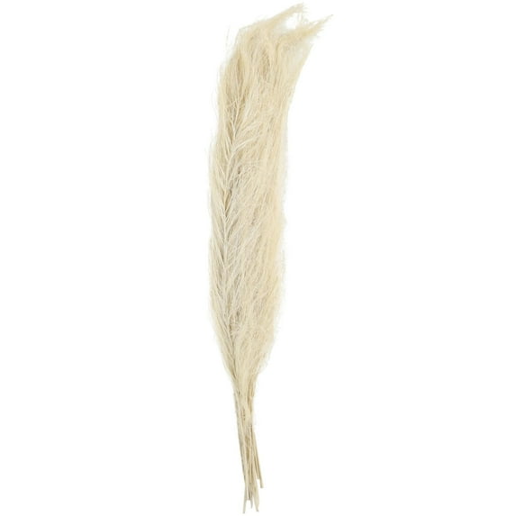 35" Tall Grass Dried Plant Natural Foliage Feather Like Leaves Bouquet with Stems, by DecMode