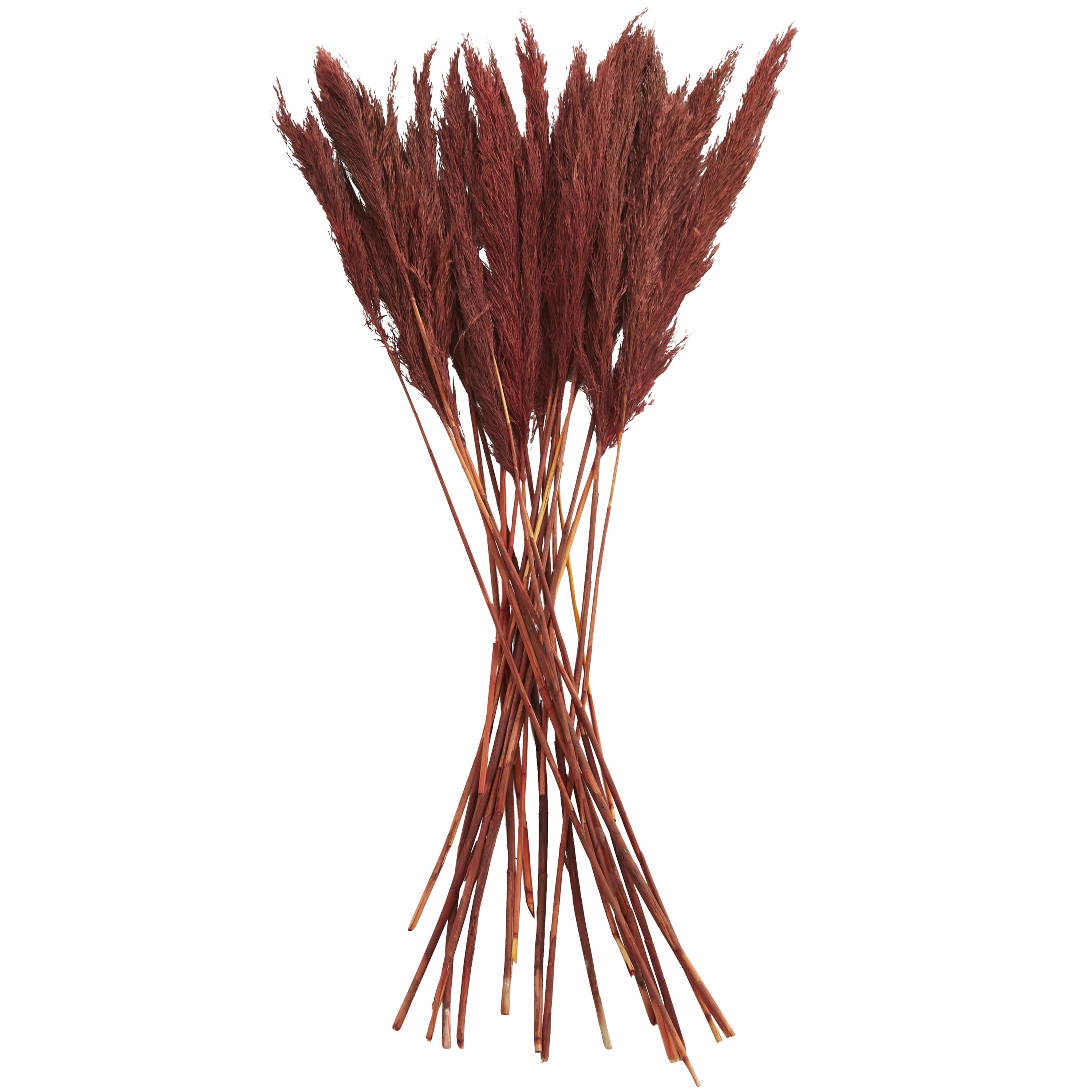 35" Dried Plant Natural Foliage Pampas Bouquet with Long Stems, by DecMode
