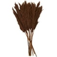 thumbnail image 1 of 35" Dried Plant Natural Foliage Pampas Bouquet with Long Stems, by DecMode, 1 of 8