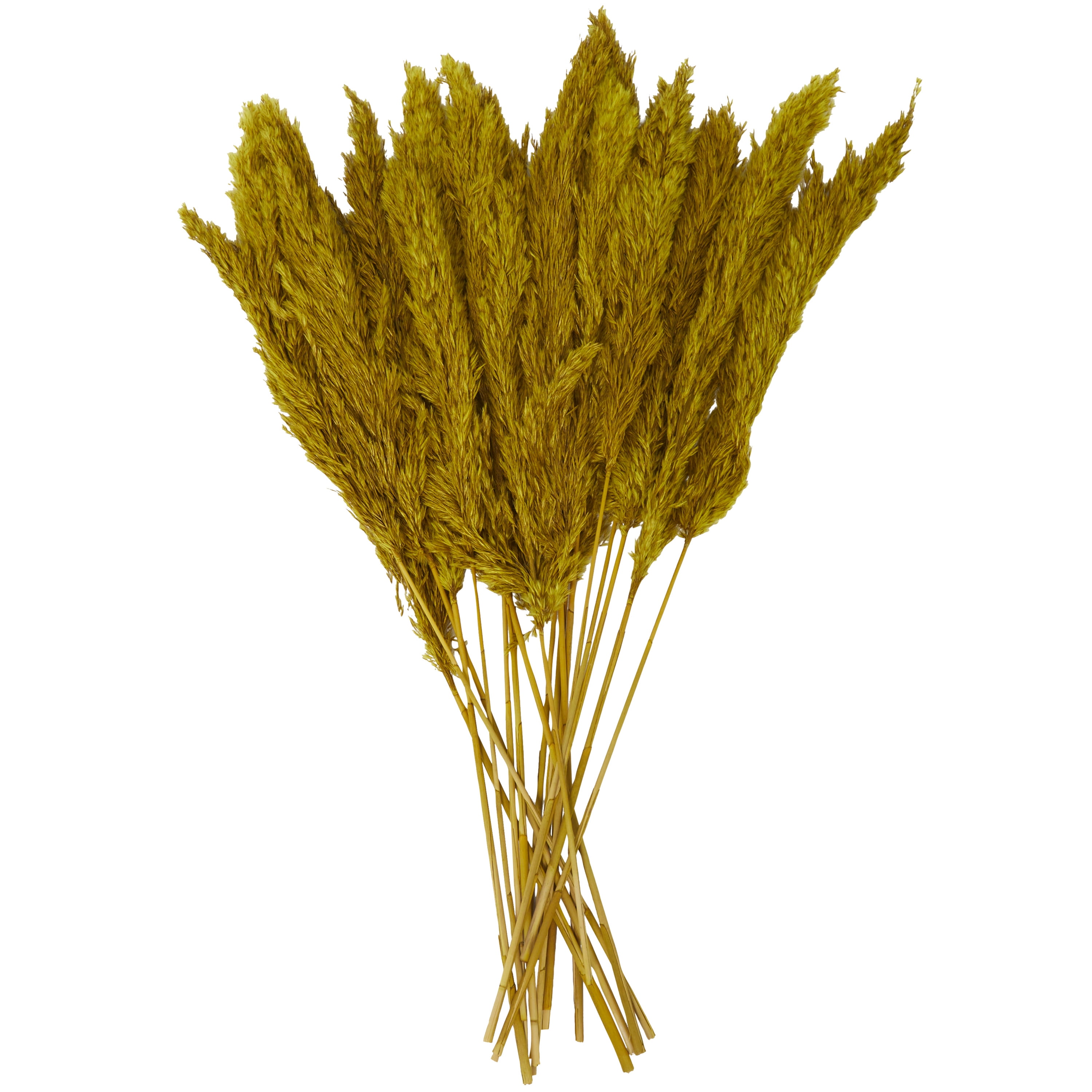 35" Dried Plant Natural Foliage Pampas Bouquet with Long Stems, by DecMode