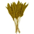 thumbnail image 1 of 35" Dried Plant Natural Foliage Pampas Bouquet with Long Stems, by DecMode, 1 of 8
