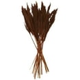 thumbnail image 1 of 35" Dried Plant Natural Foliage Pampas Bouquet with Long Stems, by DecMode, 1 of 8