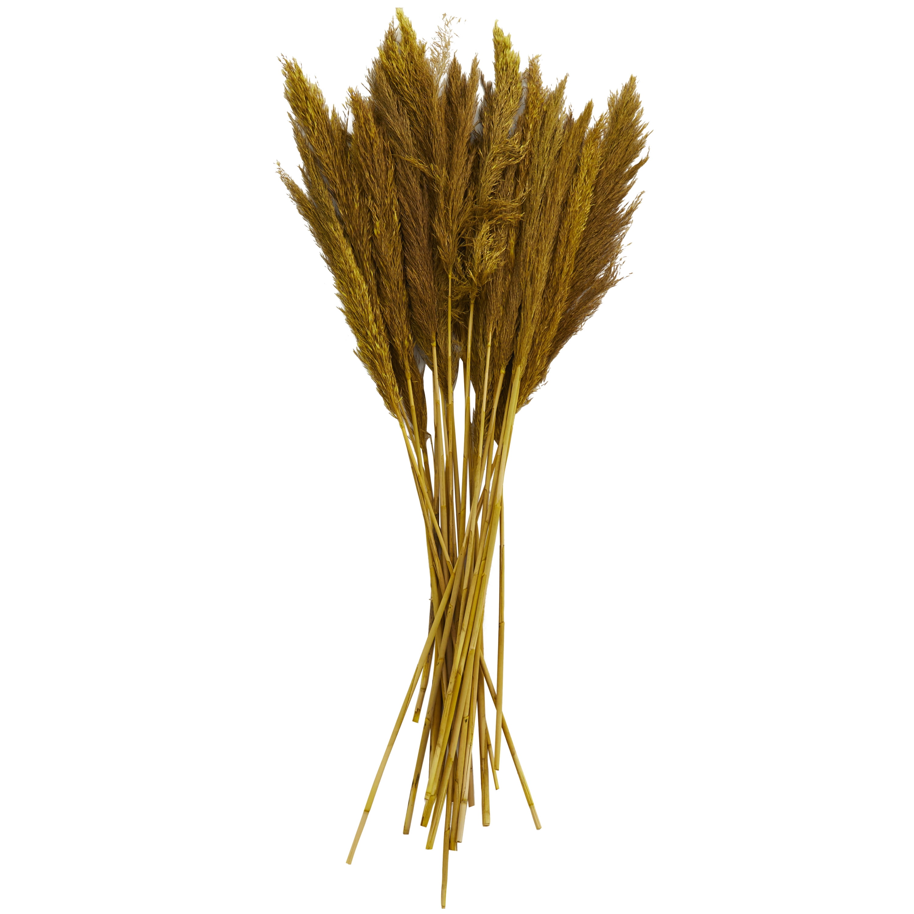 35" Dried Plant Natural Foliage Pampas Bouquet with Long Stems, by DecMode