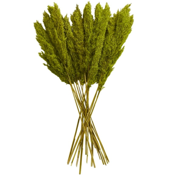35" Grass Dried Plant Natural Foliage Pampas Bouquet with Long Stems, by DecMode