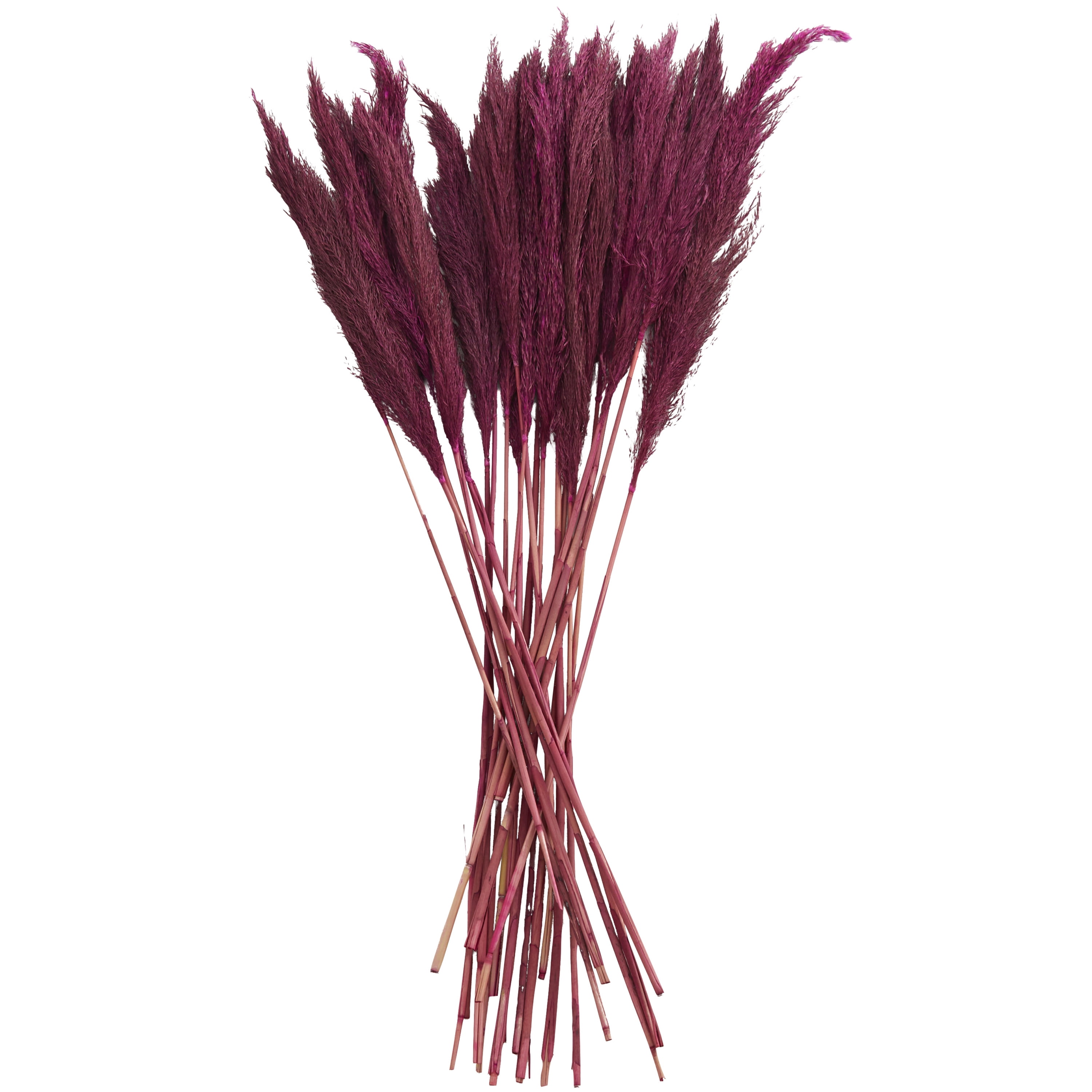 35" Dried Plant Natural Foliage Pampas Bouquet with Long Stems, by DecMode