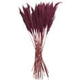 thumbnail image 1 of 35" Dried Plant Natural Foliage Pampas Bouquet with Long Stems, by DecMode, 1 of 8