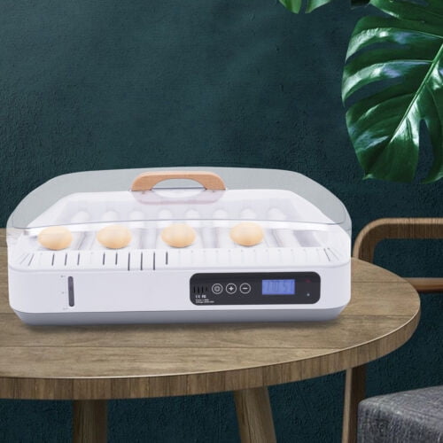 Egg Incubator 35 Eggs Fully Digital Automatic Hatcher For Hatching Chicken Farm