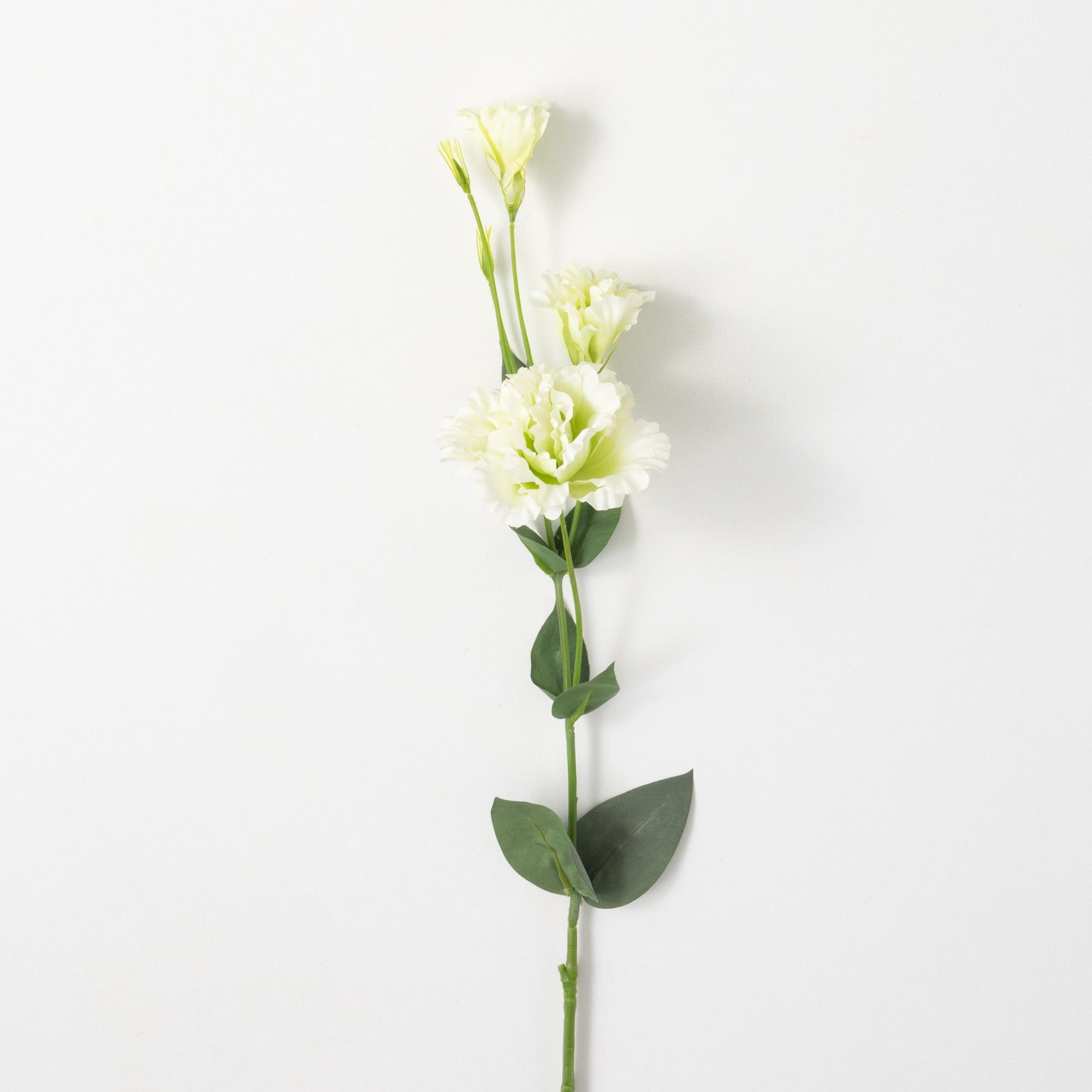 35"H Sullivans Cream Lime Green Lisianthus, Multicolored