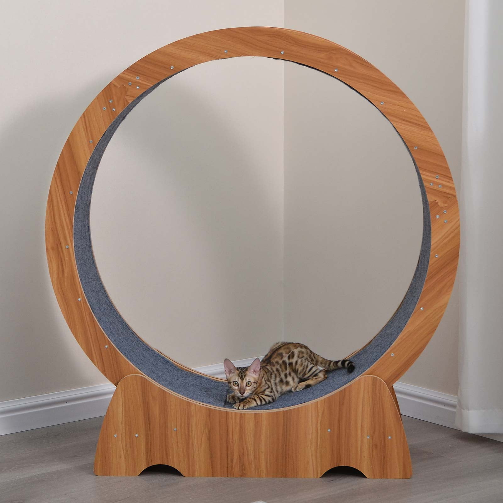 35" Large Cat Wheel Running for Longer Lifespan,Cat Treadmill Made of