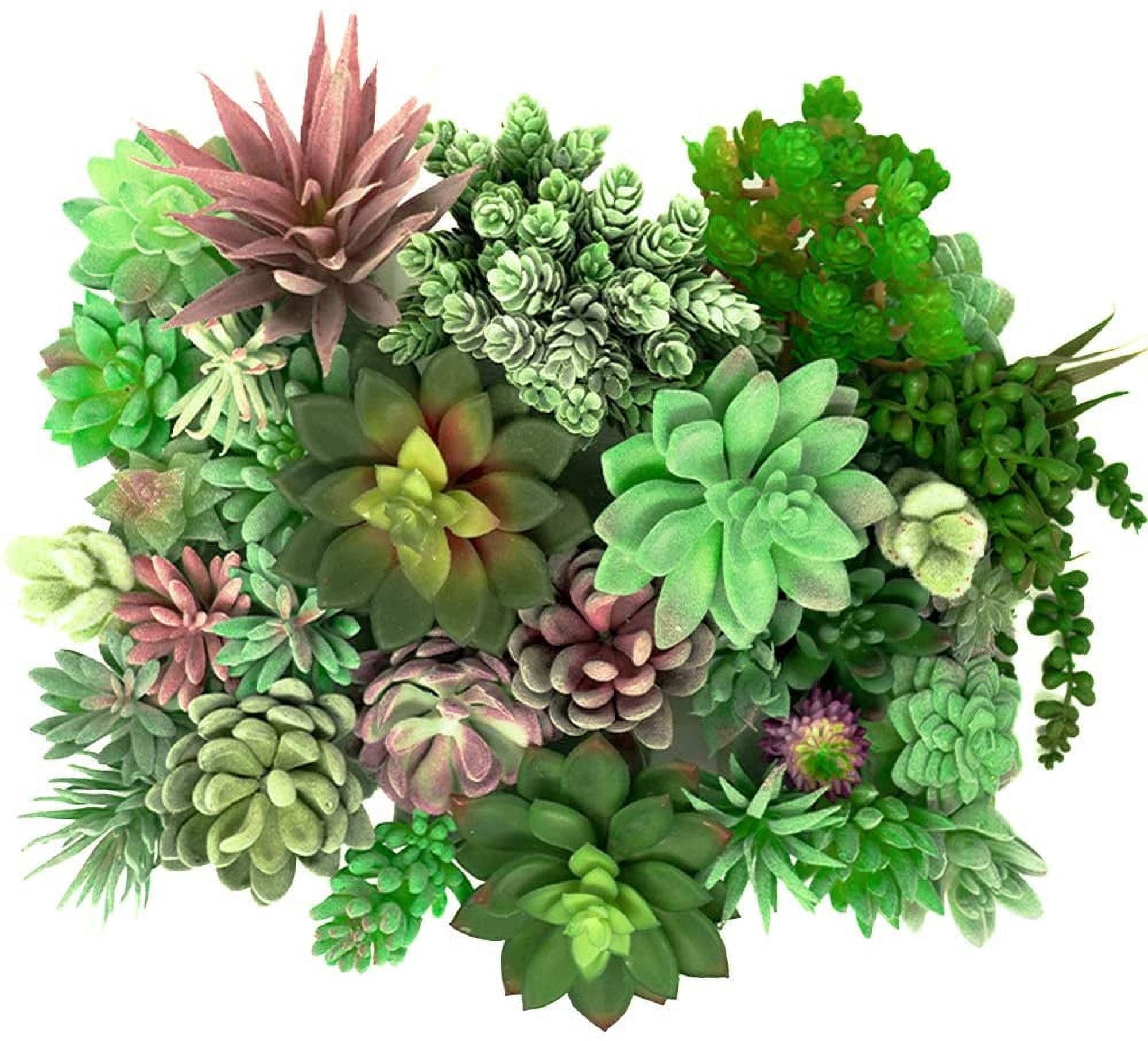 Small Fake Succulents & Mini Artificial Plants | Walmart - Walmart.com