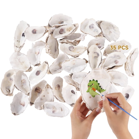 35 Pcs Oyster Shells for Crafts, Large Oyster Shells for Decor, Natural North Sea Origin, 5.9" Inches Natural Design, Ideal for Aquarium Landscaping, Crack-less Surface