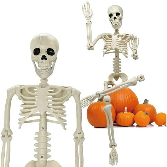 35" Skeleton Halloween Decorations, 3FT Realistic Full Body Movable Posable Joints Skeleton, Creepy Halloween Plastic Skeleton for Graveyard Decorations, Haunted House Props Indoor/Outdoor Decor