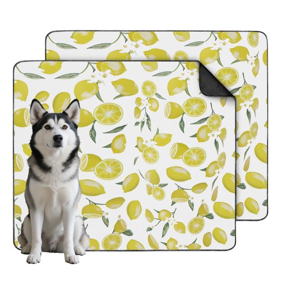 35"x41" Extra Large Premium Fruit Washable Pee Pads, Reusable Dog Pee Pads with Non-Slip Backing for Hard Surface Applications