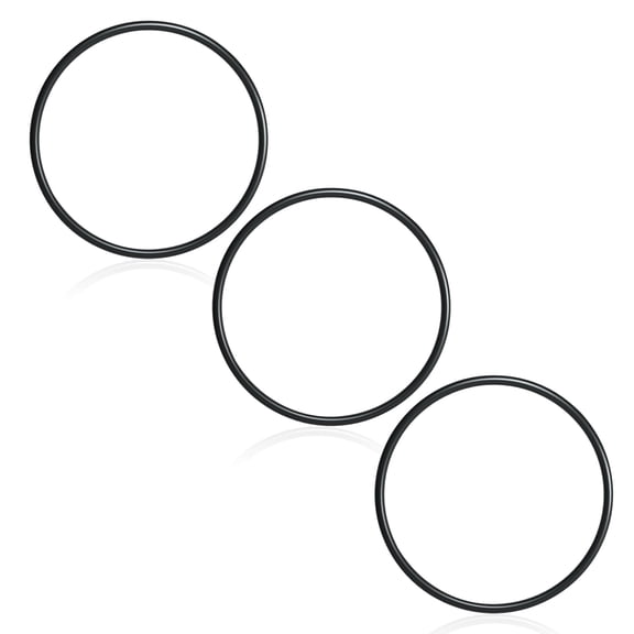 350013 Lid O-Ring for Pentair IntelliFlo, WhisperFlo, Challenger and Pinnacle Pool & Spa Pumps3PCS