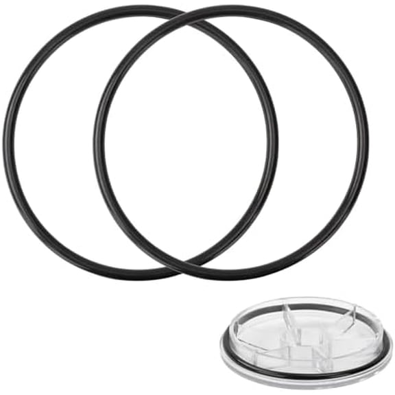 350013 Pump Lid O-Ring Repalcement for Pentair IntelliFlo, WhisperFlo, Challenger and Pinnacle Pool and Spa Pumps (2 Pack)