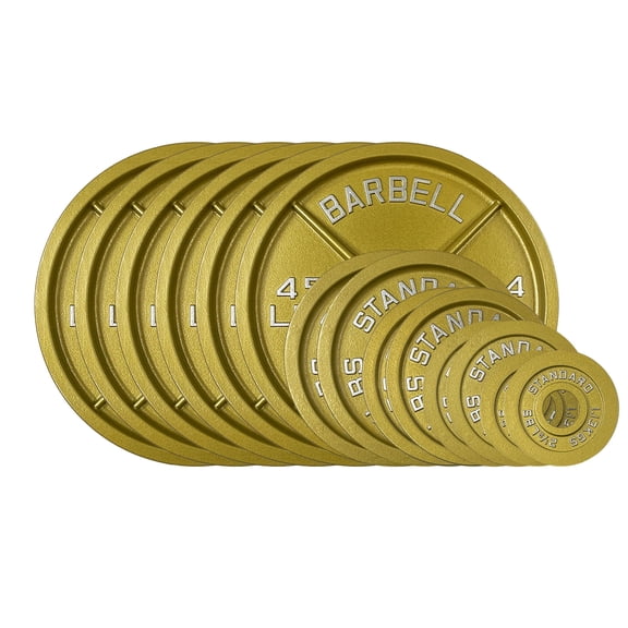 355LB Gold Olympic Steel Plate Set - 2 Inch Barbell Standard Weights in Premium Gold Finish