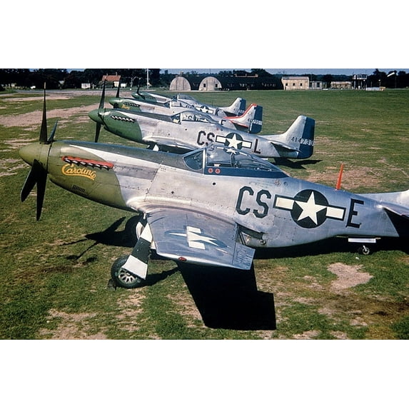 359th Fighter Group P-51D Mustangs WWII - 24x36 Inch Laminated Aviation Poster - Stunning Detail and Bold Colors