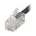 thumbnail image 1 of 35Ft Cat5E 350 Mhz Assembled Plenum Patch Cable - Black, 1 of 1
