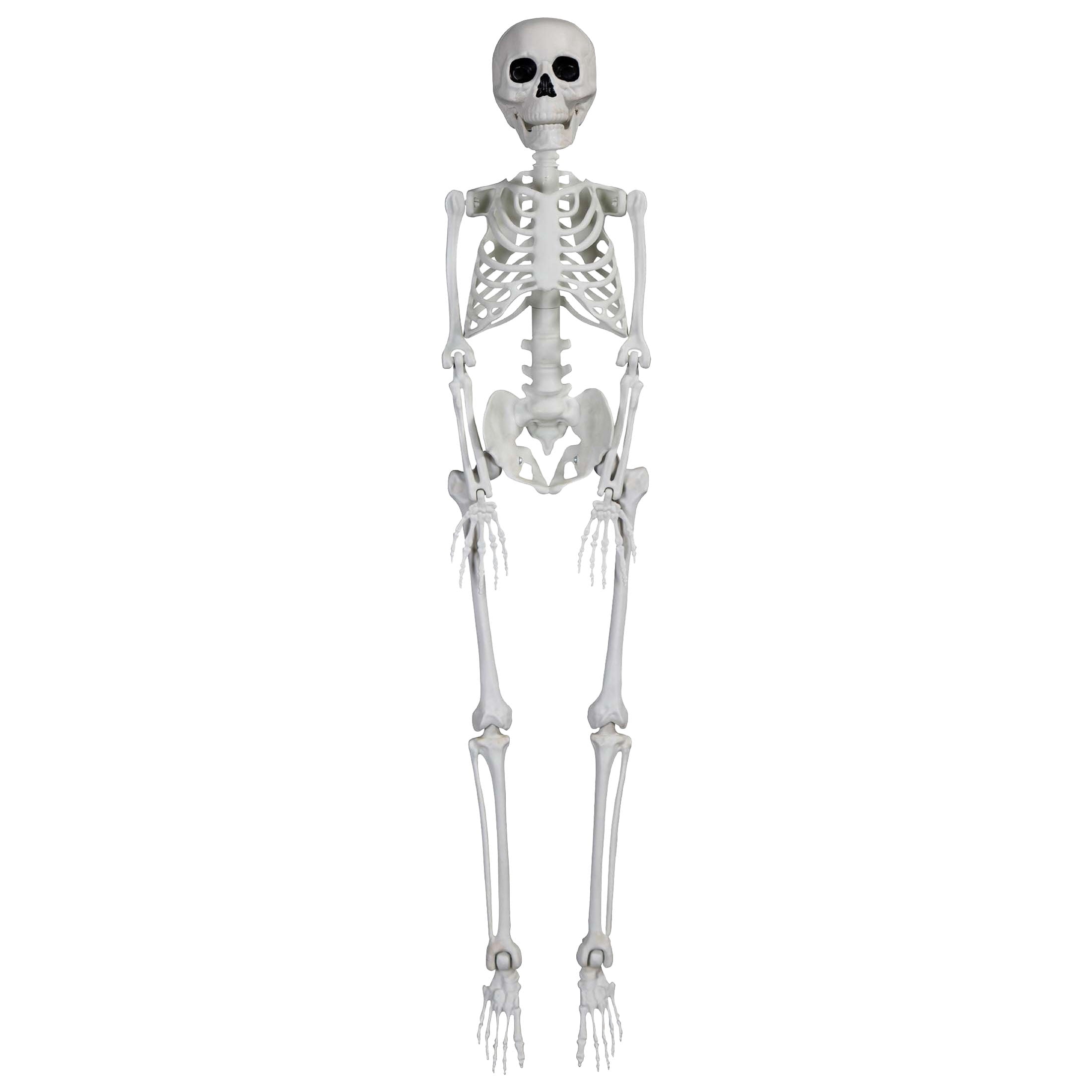 Faux Skeleton Decoration, White, 35", Halloween by Way To Celebrate