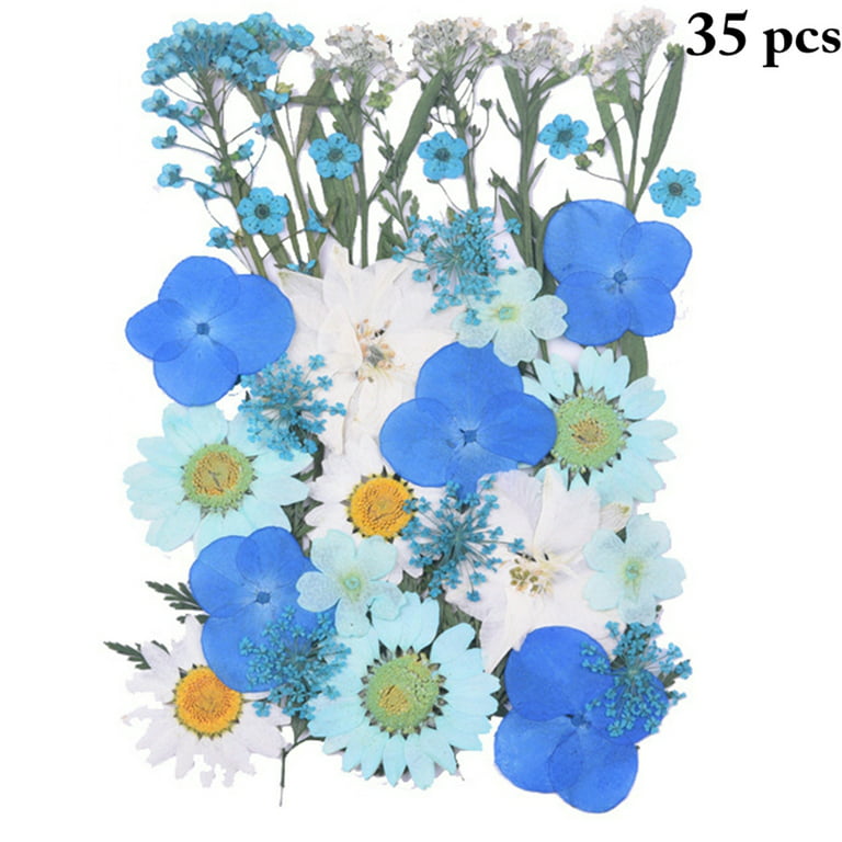 24PCS DIY Dried Flowers Natural Cute Dried Pressed Flowers Dried