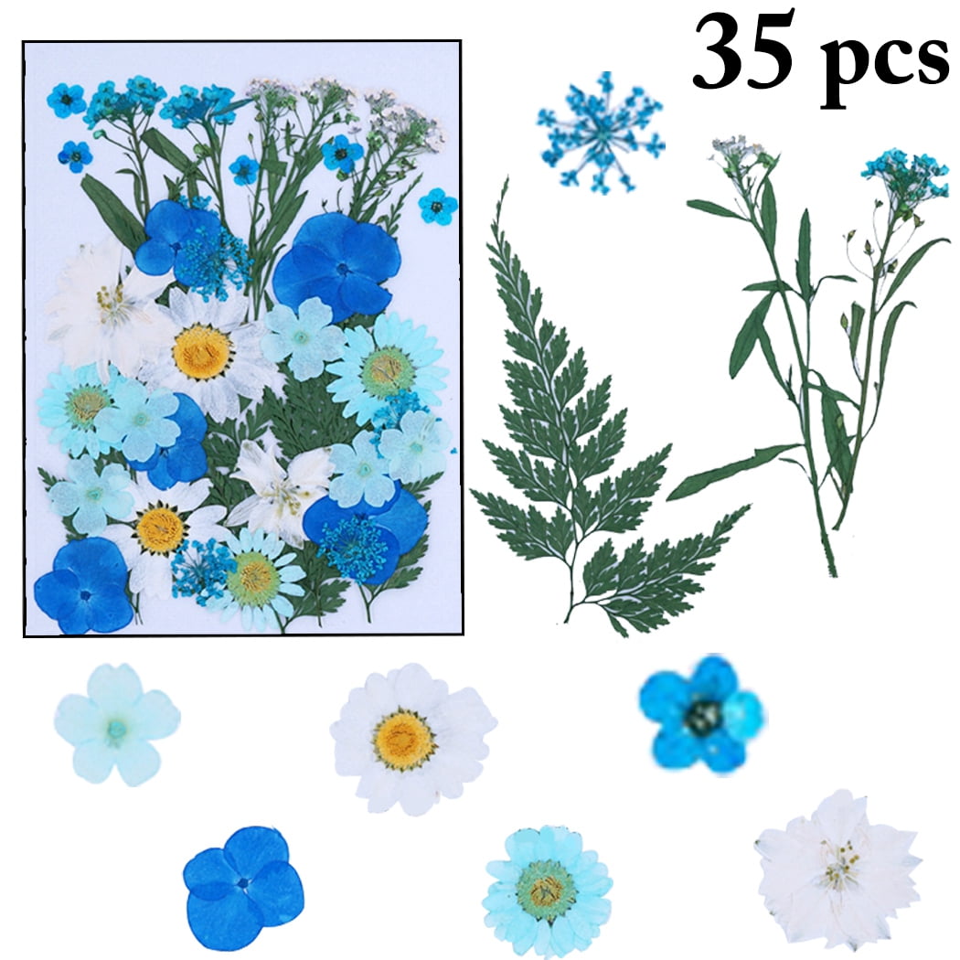 40PCS DIY Pressed Flowers Natural Mixed Dried Craft Flowers Dried Flower  Leaves