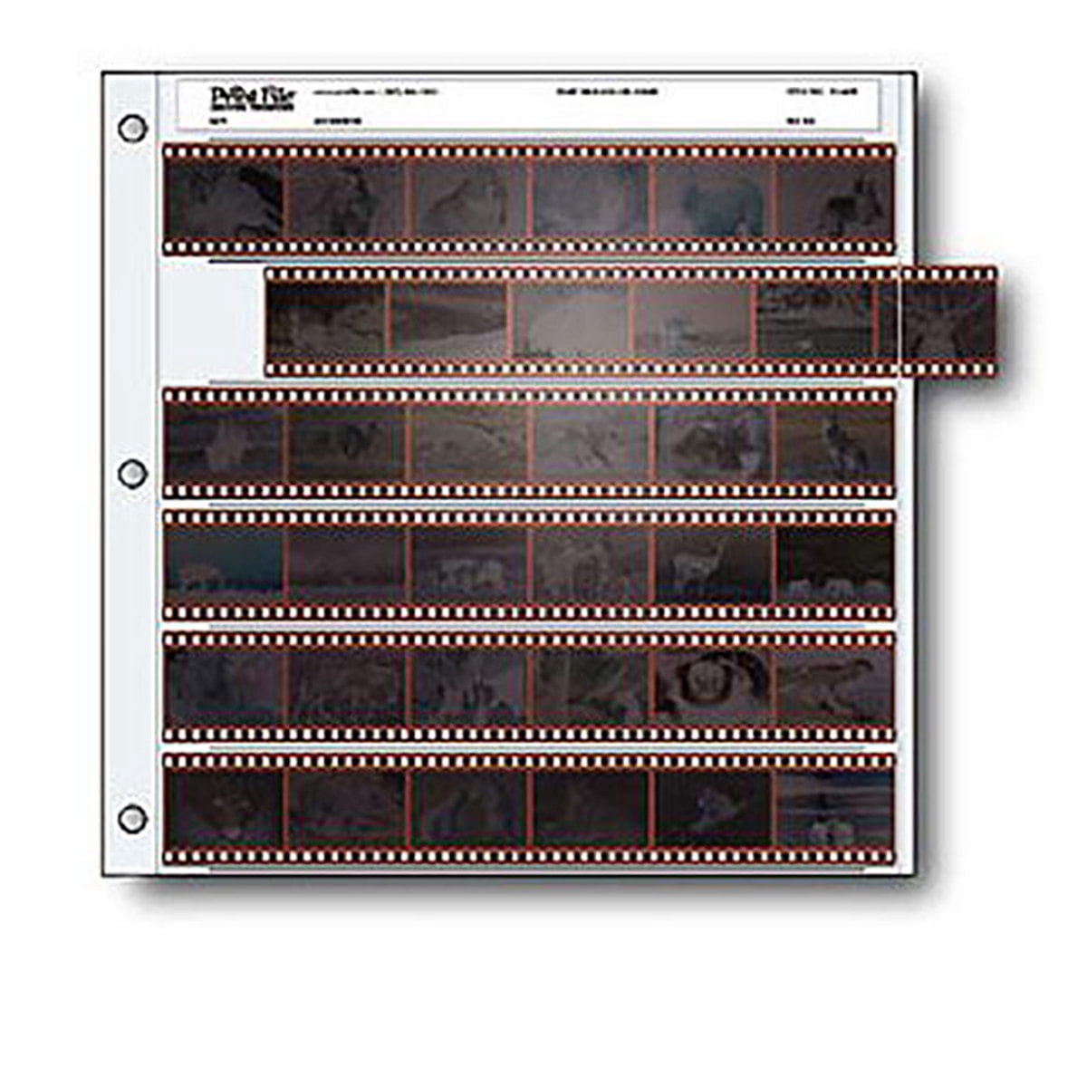 Print File 35mm Size Negative Pages Holds Six Strips of Six Frames ...
