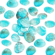 35pcs Blue Natural Seashells 3237mm Undrilled Dyed Scallop Sea Shell Blue Clam Beach Seashell for Jewelry Candle Making Home Party Wedding Decor Fish Vase Filler No Hole