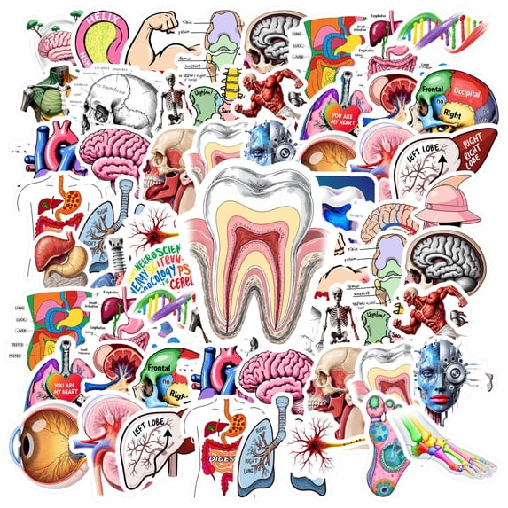 35pcs Educational Stickers Stationery Stickers Science Kids Stickers Graffiti Decals for Laptops Suitcase Phone