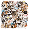 thumbnail image 1 of 35pcs Funny Stickers Cat Stickers Cute Stickers Animal Stickers for Laptops Notebooks Phones Suitcases, 1 of 9