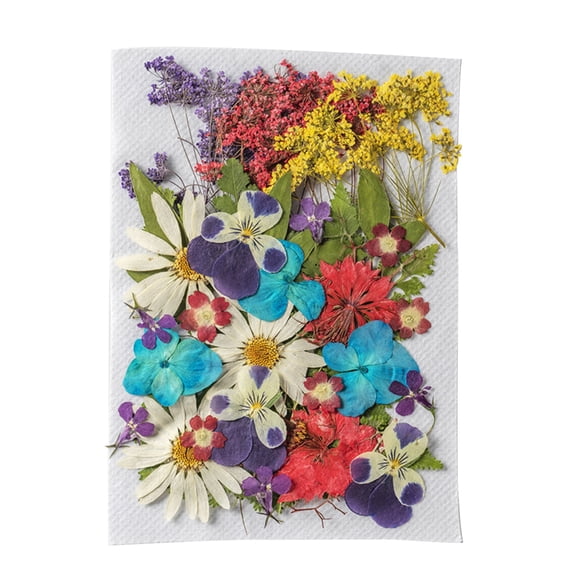 35pcs Multi-color Dried Pressed Flowers for Resin Molds, Real Natural Pressed Flowers for DIY Art Crafts,Candle Making, Nails Décor,Soap Making