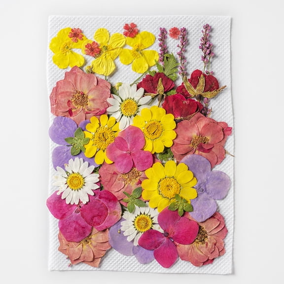 35pcs Multi-color Dried Pressed Flowers for Resin Molds, Real Natural Pressed Flowers for DIY Art Crafts,Candle Making, Nails Décor,Soap Making