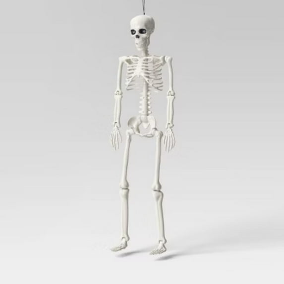 36" Posable Skeleton Halloween Decorative Mannequin - Realistic, Movable Joints