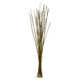 thumbnail image 1 of 36-40 in. Light Basil Caba Spines with 8 oz Bundle, 1 of 1