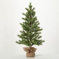 thumbnail image 1 of 36.5"H Sullivans Emerald Pine Tree In Burlap, Green, 1 of 3
