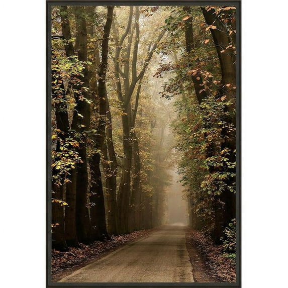 36.75 x 24.75 in. Folia, Framed Giclee Canvas Art - Black
