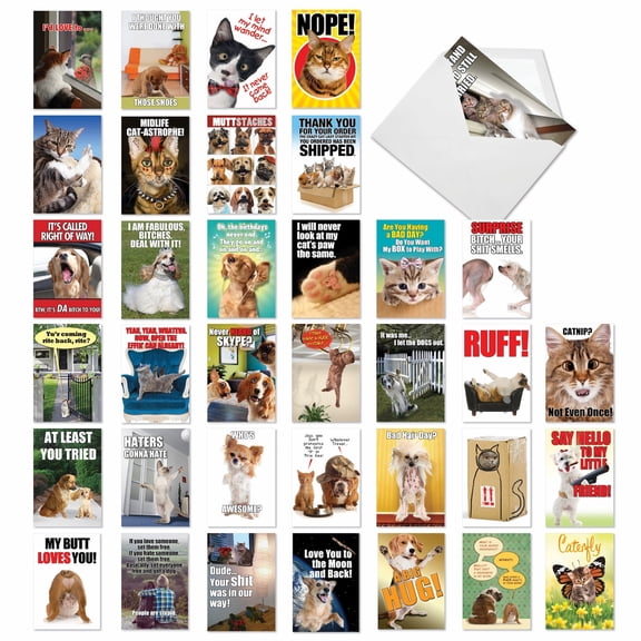 36 Assorted Set Funny Blank Greeting Cards - Best Pets Collection - Funny and Playful Felines and Canines