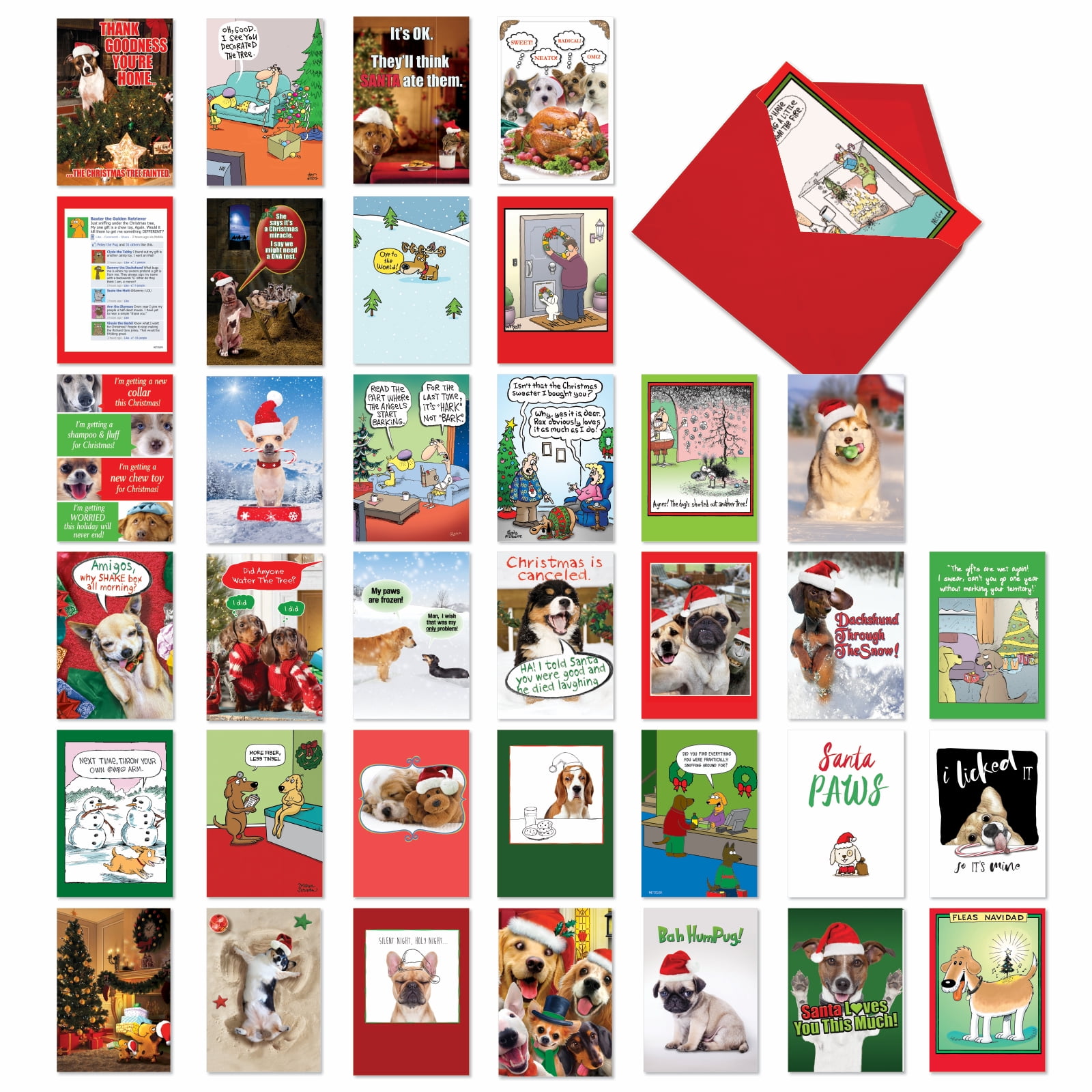 36 Assorted Set Funny Christmas Greeting Cards - Dog Holly Days - Funny ...