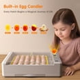 thumbnail image 1 of 36 Egg Incubator for Hatching Eggs with Automatic Egg Turning, Digital Temperature & Humidity Control, Built-in Egg Candler & Water Tank, LED Display, Chicken Incubators for Ducks/Quail/Goose/Pigeon, 1 of 6