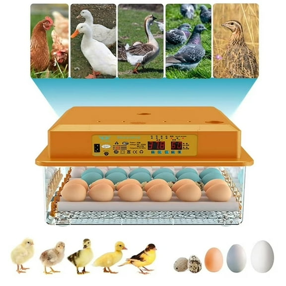 Yolispa 36 Egg Incubator with Automatic Turning, Humidity & Temperature Control, Egg Candler for Chicken & Bird Eggs