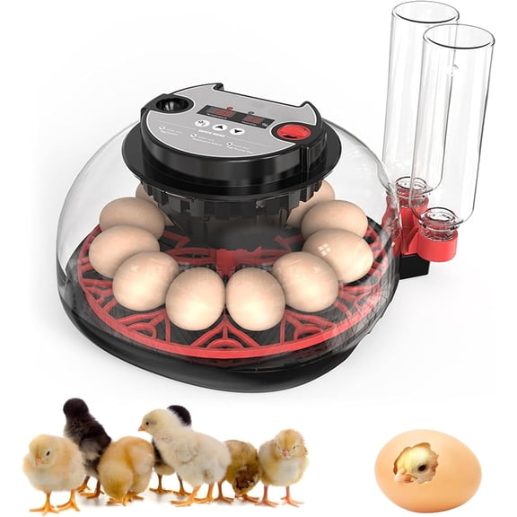 36 Egg Incubator for Hatching Eggs, Fully Automatic Egg Incubator with Auto Temp/Water/Turning, for Chicken Duck Goose Quail Pigeon Turtle Eggs, Humidity Control by Bottles, 361° View Clear Window