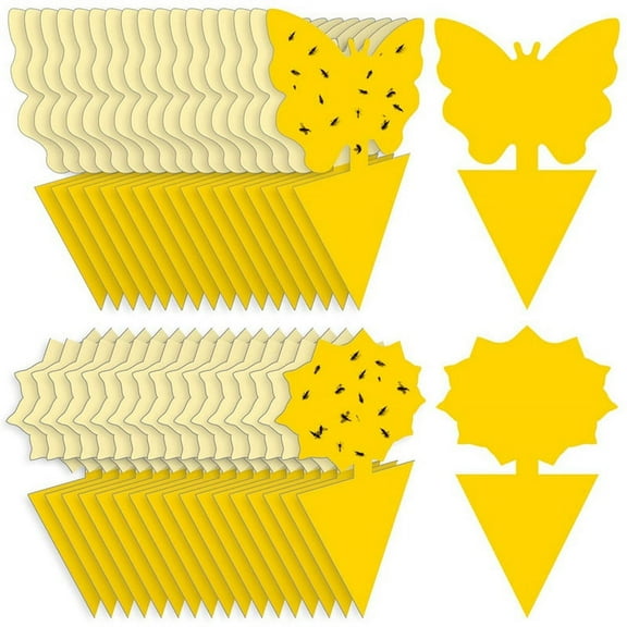 36 * Fruit Fly Sticky Traps-Yellow