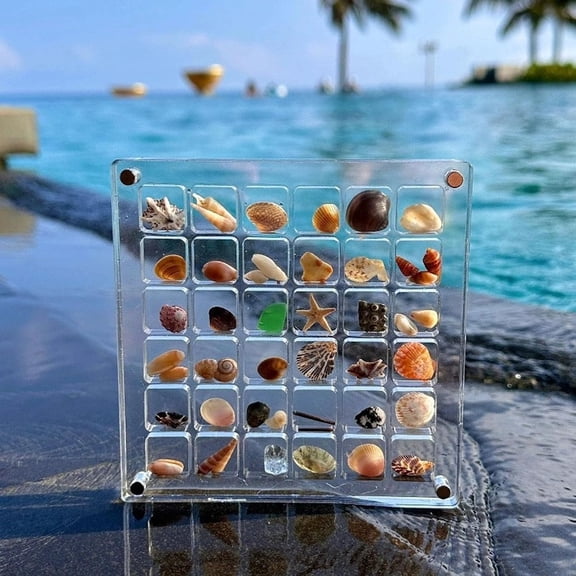 36 Grids Acrylic Magnetic Seashell Display Box, Clear Sea Shell Holder Display, Seashell Display Case with Grid, Beach Magnet Storage Organizer Case, for Beach Shells, Crystals