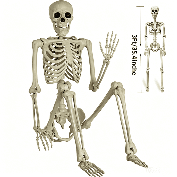 35" Halloween Skeleton Decoration – 3 ft Body with Posable Joints for Indoor & Outdoor Yard Patio Lawn Garden Haunted Party Decor