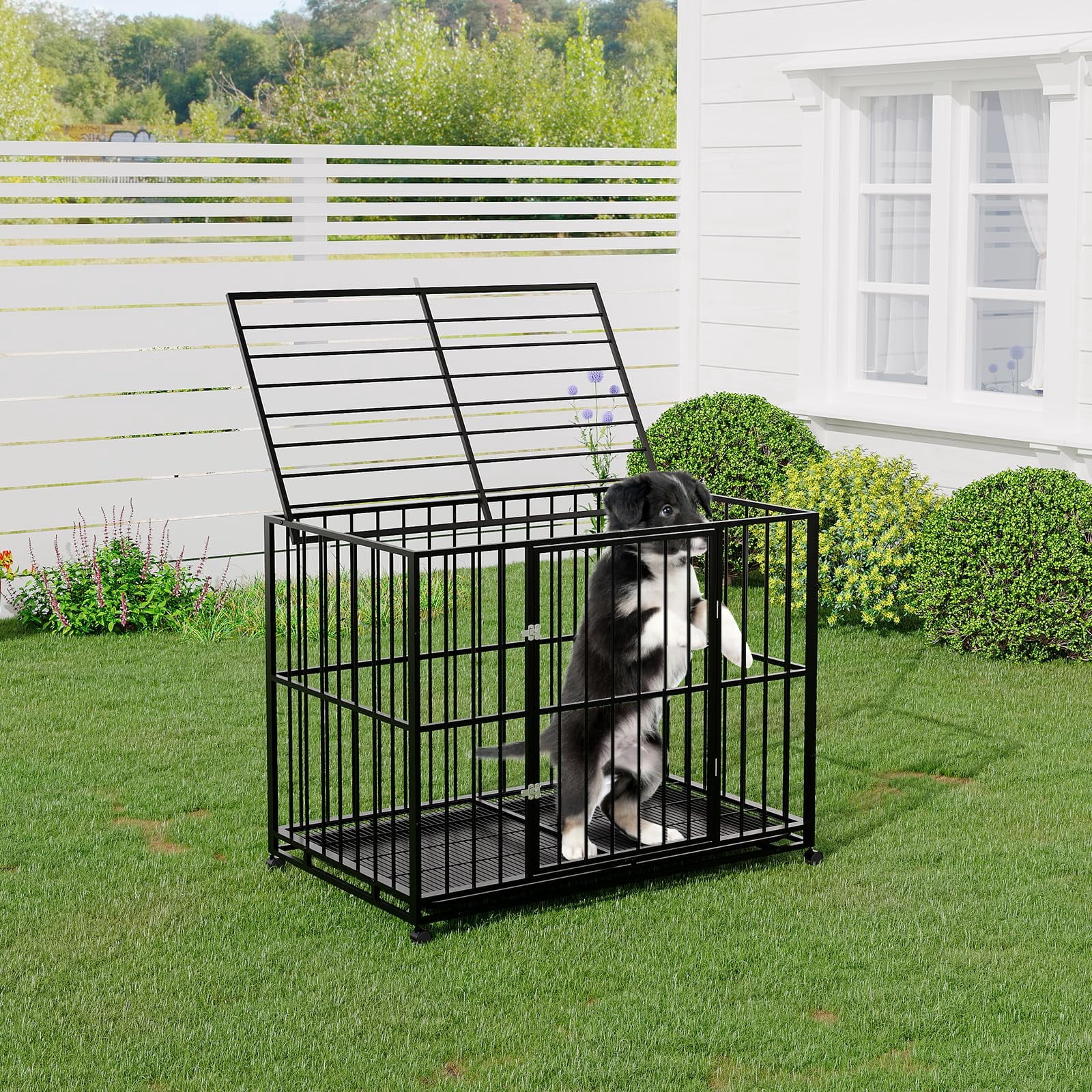 36 Inch Dog Crate for Small Sized Dogs, Heavy Duty Stainless Steel Dog ...